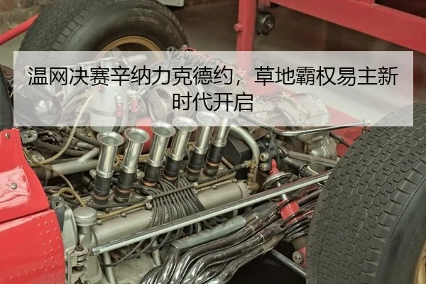 温网决赛辛纳力克德约，草地霸权易主新时代开启